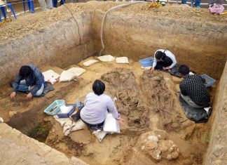 Bronze drums and child burial found at Phetchaburi dig site