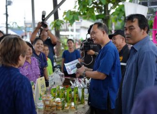 Phang Nga launches 2026 Kapong Durian Festival