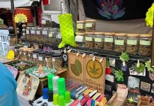 Thai government reports progress in medical cannabis compliance drive