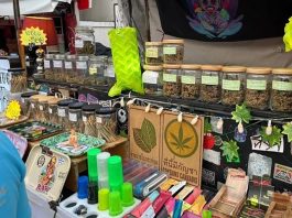 Thai government reports progress in medical cannabis compliance drive
