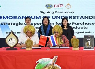 Thai GI products win major China deal as durian export push gains momentum