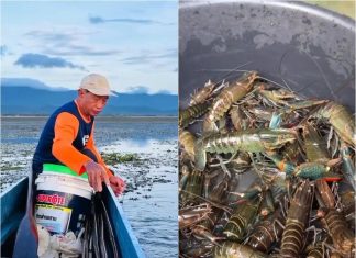 Invasive species alert as crayfish caught in Kwan Phayao waters