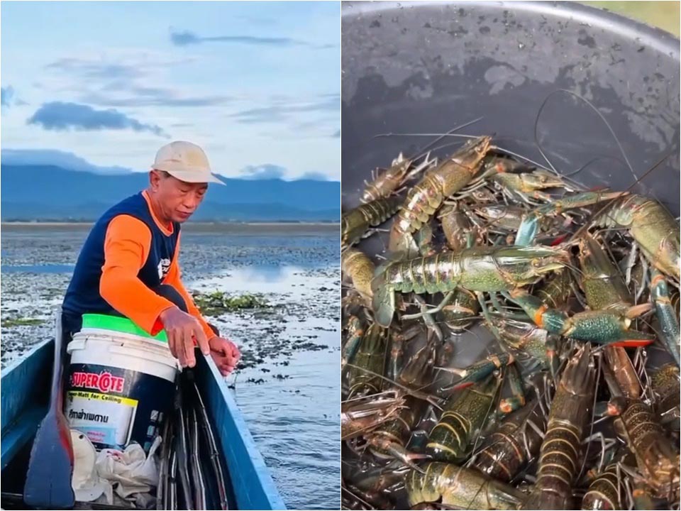 Invasive species alert as crayfish caught in Kwan Phayao waters