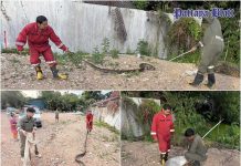 Vier Meter lange Python aus Wohnhaus hinter Mega Home in Pattaya entfernt