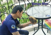Pattaya warnt vor Bienennestern in Wohnanlagen und Eigentumswohnungen