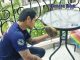 Pattaya warnt vor Bienennestern in Wohnanlagen und Eigentumswohnungen