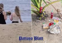 Russische Touristinnen entschuldigen sich nach Mitnahme einer Opferkokosnuss am Pattaya Beach