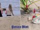 Russische Touristinnen entschuldigen sich nach Mitnahme einer Opferkokosnuss am Pattaya Beach