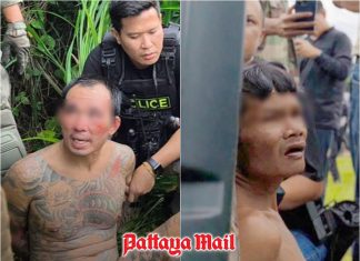 Pattaya five-day manhunt ends with shocking confession in Russian siblings case