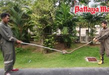 Giant snake captured in leisure zone at Pattaya Youth Sports Center