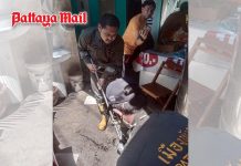 Lunch stops at Jomtien noodle shop after python slithers inside