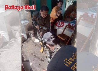 Lunch stops at Jomtien noodle shop after python slithers inside