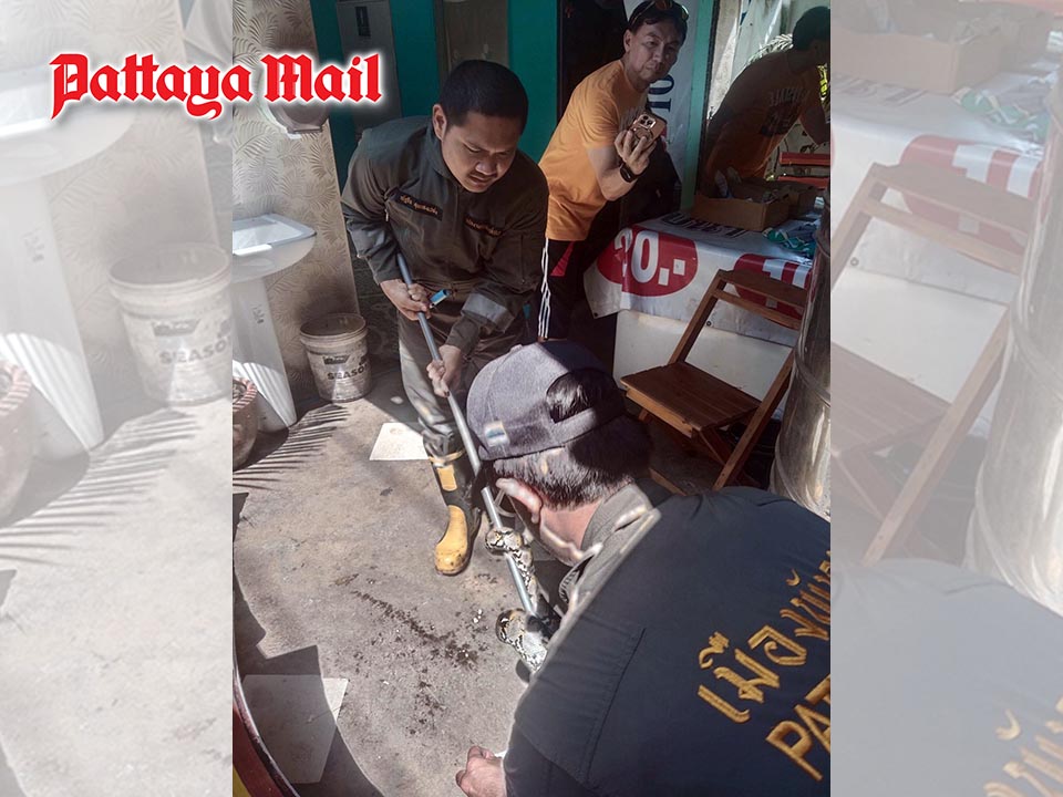 Lunch stops at Jomtien noodle shop after python slithers inside