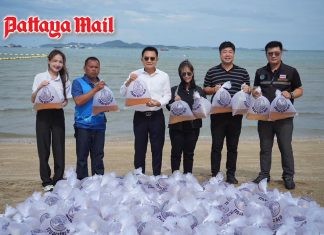 Pattaya releases 480,000 juvenile shrimp to restore coastal marine life