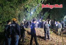 Missing Russian siblings found buried in shallow grave near Pattaya