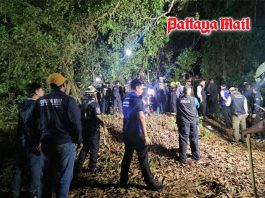 Missing Russian siblings found buried in shallow grave near Pattaya