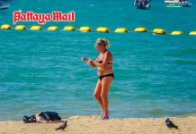 Pattaya weather alert for storms and offshore waves above 2 meters