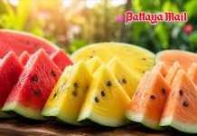 Thailand’s colorful watermelons offer new tastes and benefits