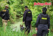 Police deploy K9s in search for missing Russian siblings near Pattaya