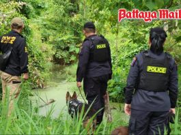 Police deploy K9s in search for missing Russian siblings near Pattaya