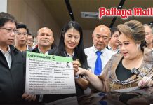 EV buyers get more protection as Thailand targets dealer transparency