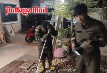 Pattaya residents shocked as snakes turn up in homes and beachfront condos