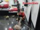 Крупный варан забрался в спальню дома в Джомтьене — пожарные безопасно поймали рептилию