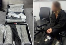 Belgian woman arrested at Phuket Airport with 31kg of cannabis packed in luggage