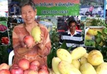 Chiang Mai opens national farm fair showcasing local products and innovation