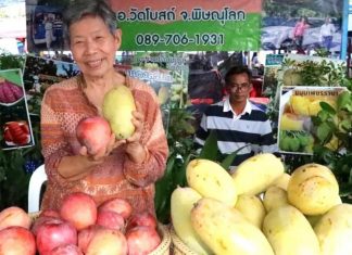 Chiang Mai opens national farm fair showcasing local products and innovation