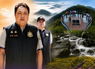 Free entry draws thousands to Thailand’s recreational forests on King’s Birthday holiday
