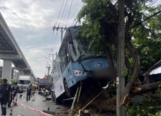 Bangkok bus crashes into power box and tree on Lat Phrao sidewalk, injuring 10