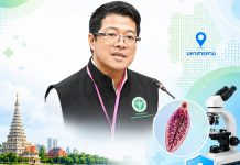 No major liver fluke outbreak as Thailand confirms four cases