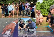 Thailand-Australia partnership develops eco pods for seagrass recover