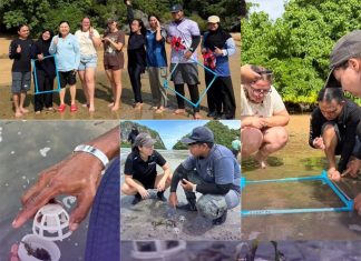 Thailand-Australia partnership develops eco pods for seagrass recover