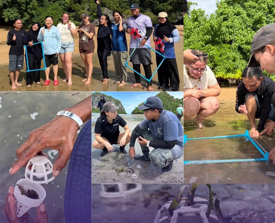 Thailand-Australia partnership develops eco pods for seagrass recover