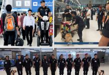 Sniffing out crime Thailand unleashes K-9 teams against drug smugglers