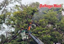 Bee swarm injures 17 in Pattaya, elderly vendor seriously hurt
