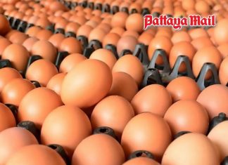 Egg prices hit 15-year high in Thailand, with tray of No. 0 eggs reaching 160 baht