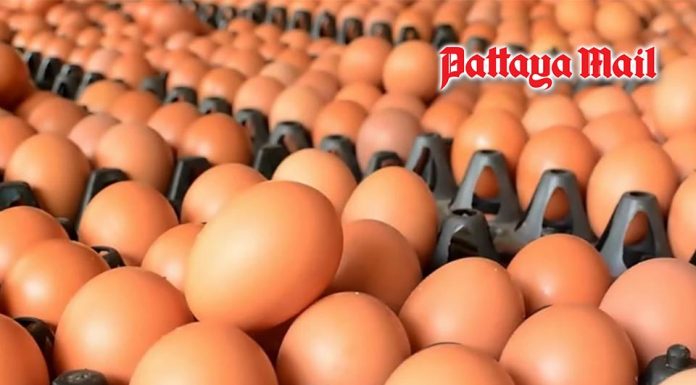 Egg prices hit 15-year high in Thailand, with tray of No. 0 eggs reaching 160 baht