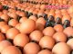 Egg prices hit 15-year high in Thailand, with tray of No. 0 eggs reaching 160 baht