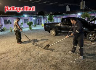 Pattaya pickup gets unwanted four-meter snake as passenger