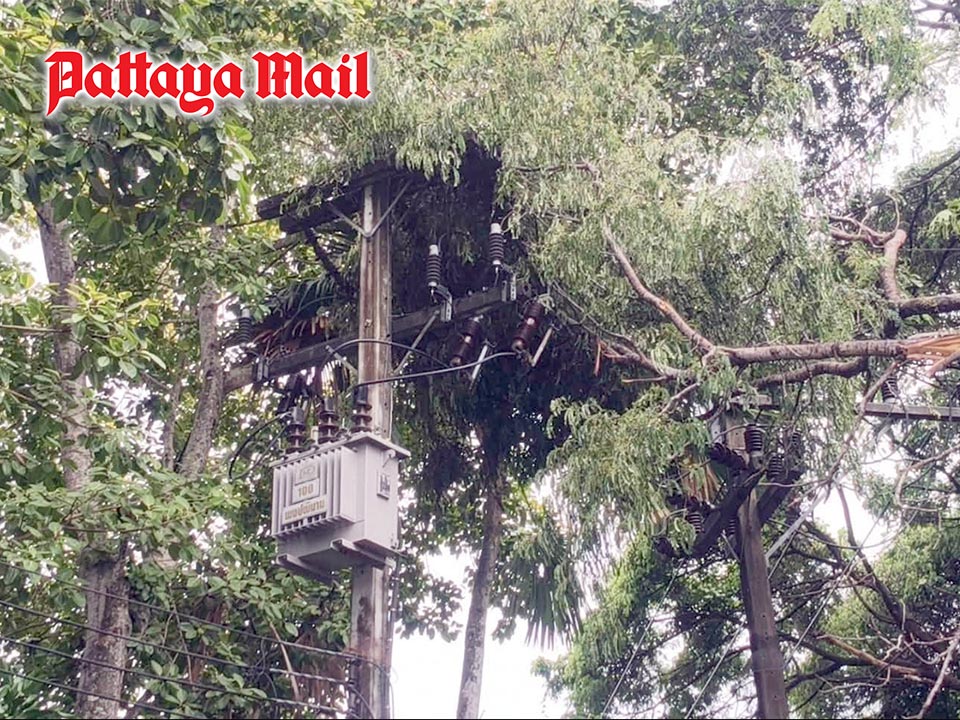 Strong winds send large tree crashing onto high-voltage transformer in Sri Racha