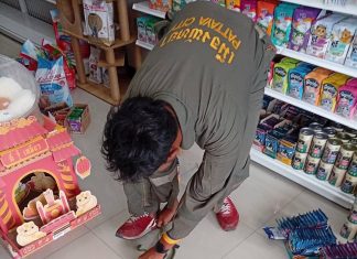 Snake slithers into Jomtien pet shop, safely caught by firefighters