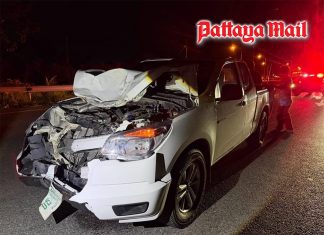 Sattahip cow escape ends in tragedy after pickup truck hits 550kg animal