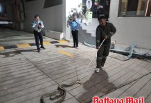 Giant python found hiding under concrete at Jomtien condo