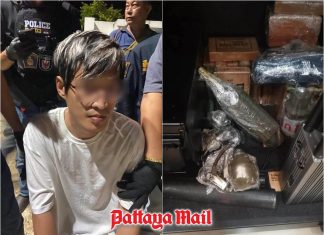 Pattaya C4 explosives rifles and war gear lead Chinese man to 44-year prison sentence