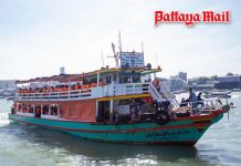 How to get from Pattaya to Koh Larn ferry times, prices and beach guide for 2026