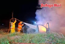 Driver feels heat on skin, jumps clear before crashed EV bursts into flames