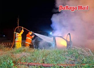 Driver feels heat on skin, jumps clear before crashed EV bursts into flames